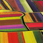 Aerial view of Radiology AI in the Netherlands