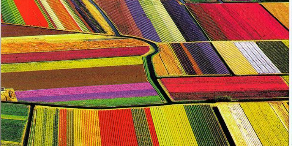 Aerial view of Radiology AI in the Netherlands