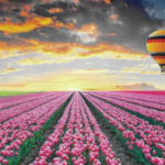 External validation of commercial AI products